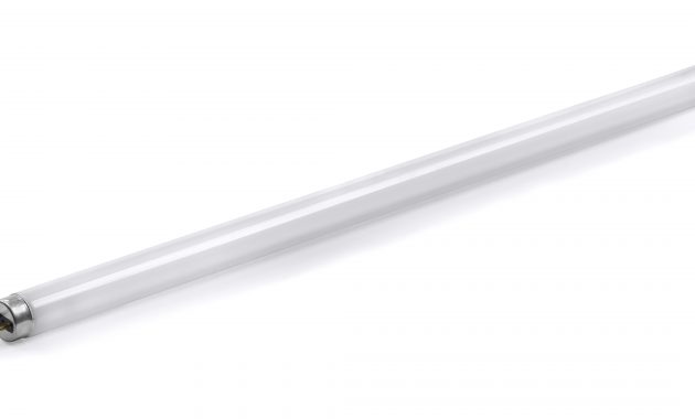 Fluorescent Tube Light Fluorescent Tube Light Bulbs 8 Fluorescent with regard to size 5117 X 2508