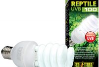 Full Spectrum Fluorescent Bulbs For Reptiles Uvb Uva intended for dimensions 950 X 950