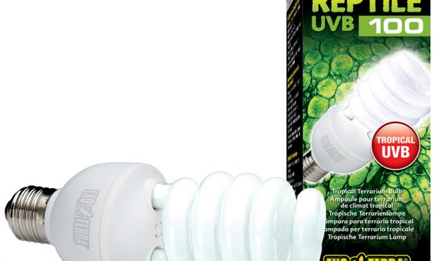 Full Spectrum Fluorescent Bulbs For Reptiles Uvb Uva intended for dimensions 950 X 950