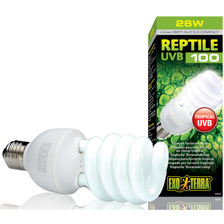 Full Spectrum Fluorescent Bulbs For Reptiles Uvb Uva intended for dimensions 950 X 950