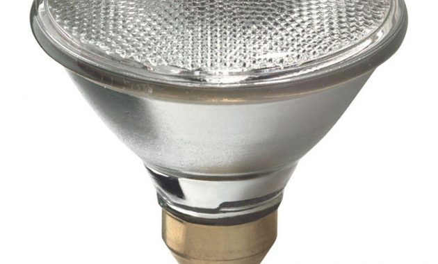 Ge 120w Equivalent Halogen Par38 High Lumen Flood Light Bulb in measurements 1000 X 1000