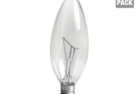 Ge 40 Watt Incandescent B10 Candelabra Base Double Life Multi Use for dimensions 1000 X 1000