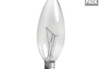 Ge 40 Watt Incandescent B10 Candelabra Base Double Life Multi Use for proportions 1000 X 1000