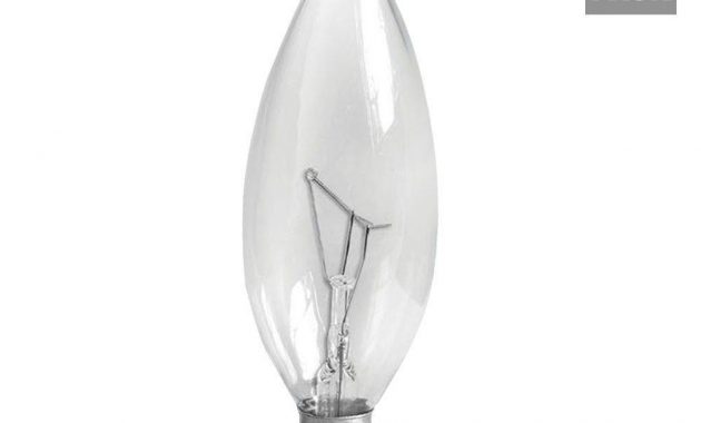 Ge 60 Watt Incandescent B10 Candelabra Base Double Life Multi Use intended for sizing 1000 X 1000