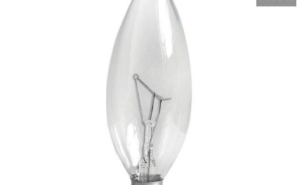 Ge 60 Watt Incandescent B10 Candelabra Base Double Life Multi Use pertaining to size 1000 X 1000