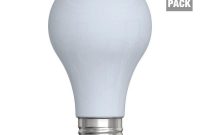 Ge Reveal 60 Watt Incandescent A19 Reveal Light Bulb 6 Pack 60a intended for dimensions 1000 X 1000