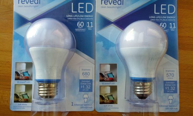 Ge Reveal A19 Leds Two Different Versions for proportions 2592 X 1944