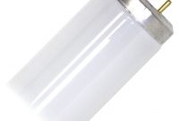 Gilbert Replacement Bulb F40t12350bl with regard to measurements 1024 X 1024