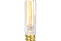 Globe Electric 60 Watt Incandescent T10 Antique Style Radio Tube regarding sizing 1000 X 1000