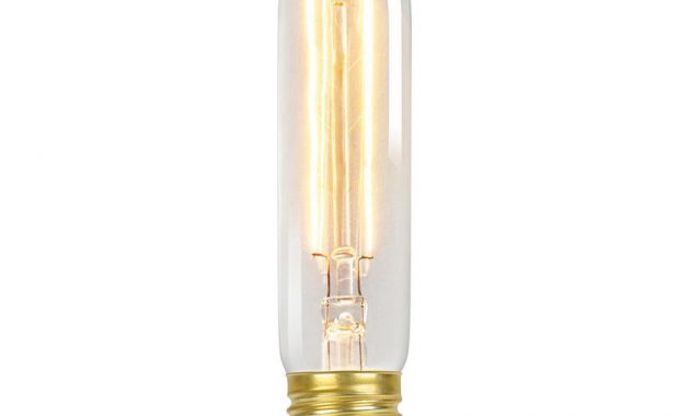 Globe Electric 60 Watt Incandescent T10 Antique Style Radio Tube regarding sizing 1000 X 1000