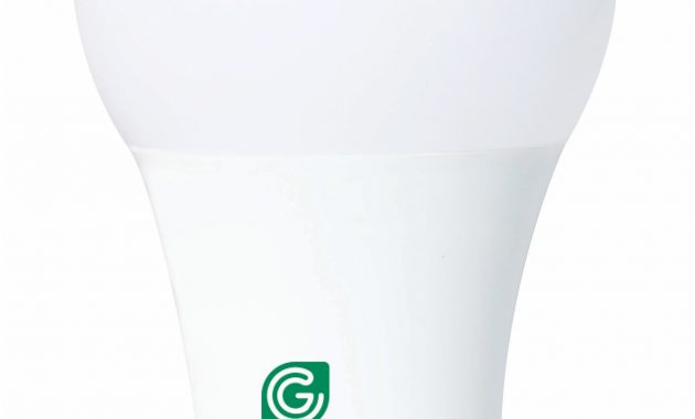 Greenlite Mini Light Bulbs Light Bulb Ideas inside measurements 1815 X 3340