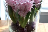 Grow Hyacinth With Just Water Put Rocks Or Decorative Rocks On within proportions 3024 X 4032