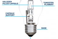 Guide To Buying Halogen Light Bulbs The Lightbulb Co within proportions 1293 X 1215