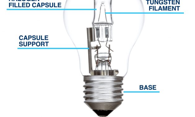 Guide To Buying Halogen Light Bulbs The Lightbulb Co within proportions 1293 X 1215