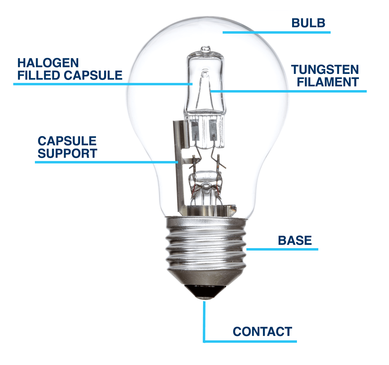 Guide To Buying Halogen Light Bulbs The Lightbulb Co within proportions 1293 X 1215