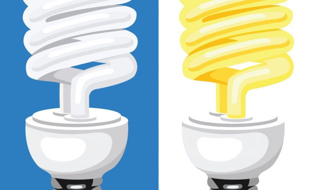 Hhw Fluorescent Bulbs Ionia County within measurements 1050 X 1050