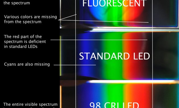 High Cri Led Lighting Yuji Led for dimensions 960 X 820