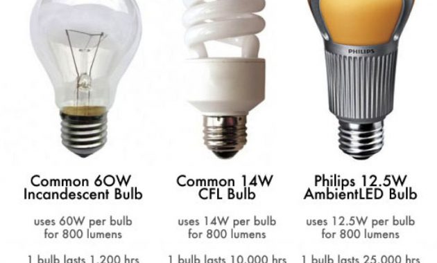 High Efficiency Light Bulbs Comparison Httpjohncow pertaining to sizing 1119 X 957