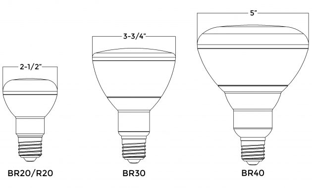 Home Lighting 101 A Guide To Understanding Light Bulb Shapes Sizes in proportions 3010 X 1684