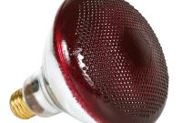 Infrared Heavy Duty Hard Glass Heat Bulbs 175 Watt Red Glass with proportions 1000 X 1000