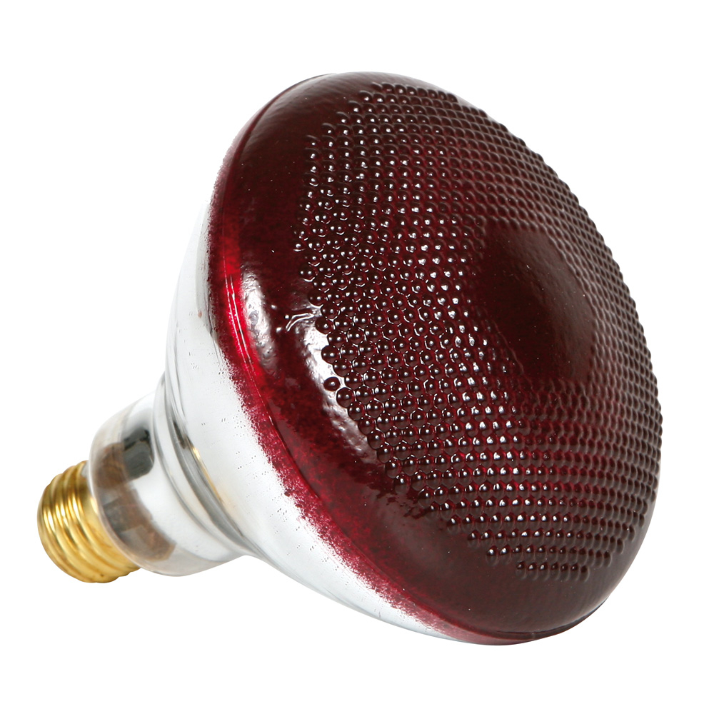 Infrared Heavy Duty Hard Glass Heat Bulbs 175 Watt Red Glass with proportions 1000 X 1000