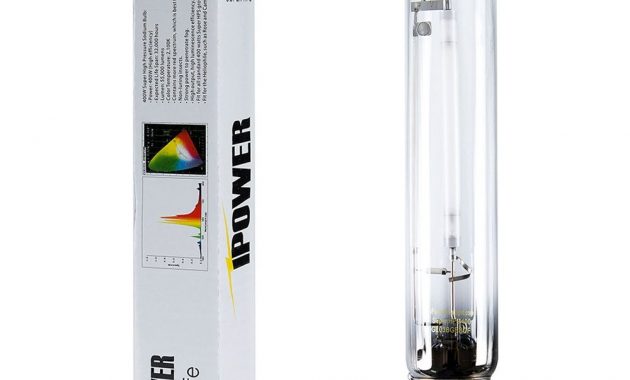 Ipower 400 Watt High Pressure Sodium Super Hps Grow Light Lamp Bulb with regard to proportions 1000 X 1000