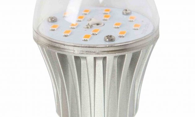 Led A19 Style Replacement For Standard E26 Light Bulb Socket with dimensions 2149 X 3224