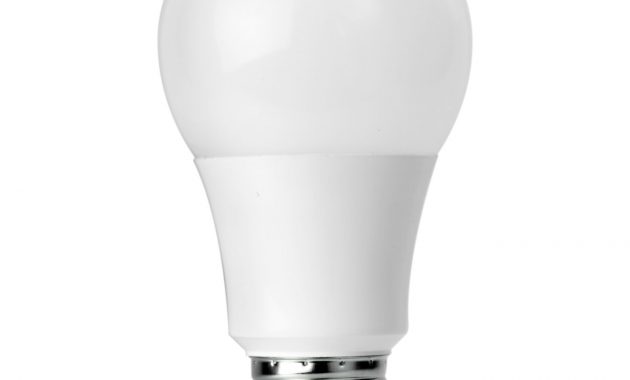 Led Omnidirectional A19 Multi Voltage Kobi Electric with sizing 1350 X 1350