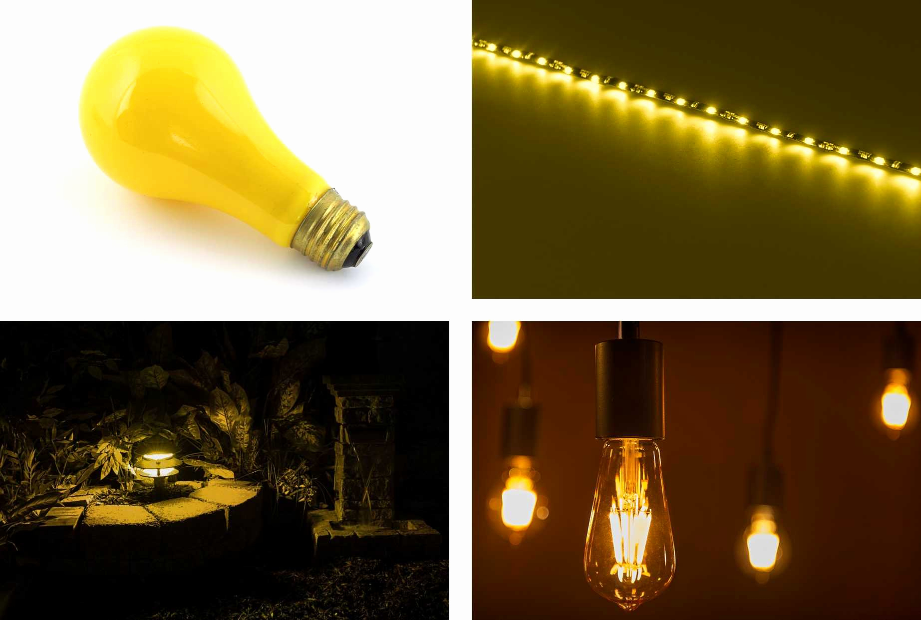 Led Yellow Bug Light Beautiful Outdoor Light Bulbs That Don T regarding size 1845 X 1242