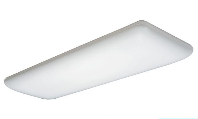 Lithonia Lighting 4 Light White Fluorescent Ceiling Light 10642re throughout sizing 1000 X 1000