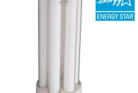 Lithonia Lighting 75 Watt Equivalent Soft White 2700k 4 Pin Cfl regarding dimensions 1000 X 1000