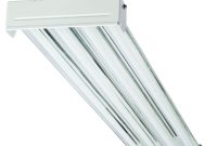 Lithonia Lighting Ibc 454 Mv 4 Light T5 White High Output pertaining to sizing 1000 X 1000