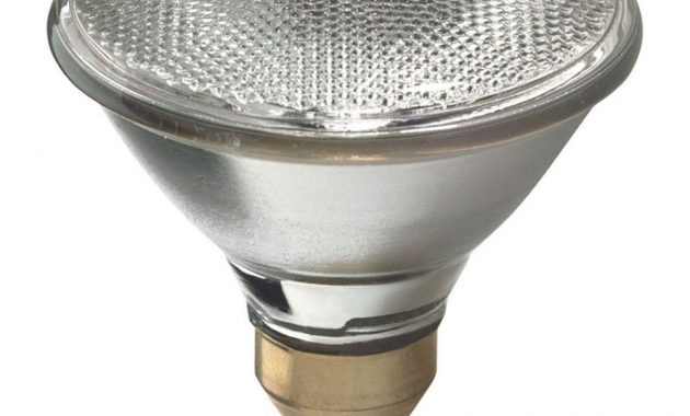 Low Heat Halogen Light Bulbs Light Bulb for measurements 1000 X 1000