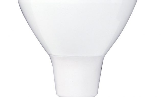 Maxlite Led Flood Light Bulb Br30 G2 Dimmable throughout sizing 1000 X 1232