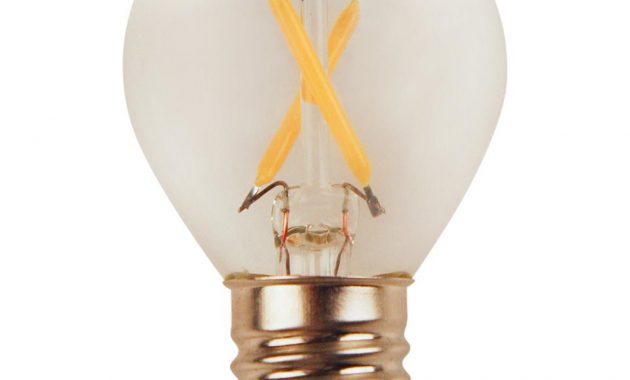 Meridian 25 Watt Equivalent Bright White S11 Led Light Bulb 13169 regarding proportions 1000 X 1000