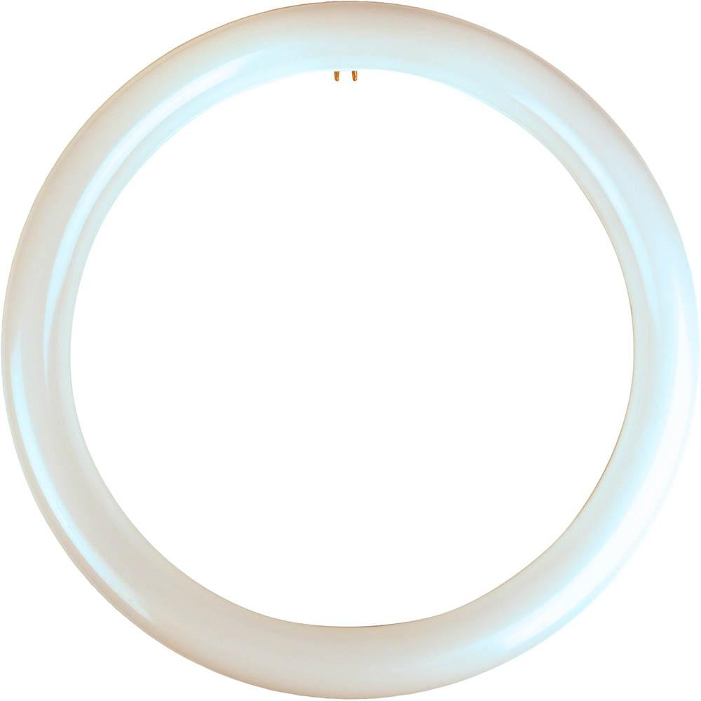 Meridian 32 Watt Equivalent Cool White T9 Circline Non Dimmable Led in size 1000 X 1000