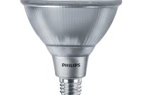 Modest Brightest Outdoor Flood Light Bulbs Philips 20 Watt intended for measurements 1000 X 1000