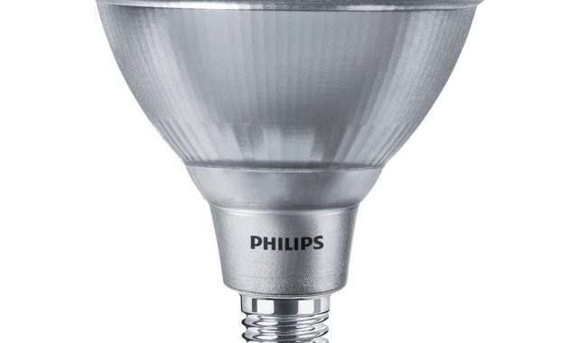 Modest Brightest Outdoor Flood Light Bulbs Philips 20 Watt intended for measurements 1000 X 1000