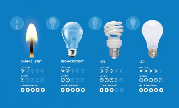 Most Efficient Light Bulb Types Light Bulb inside size 1183 X 718