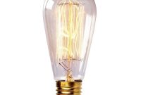 Newhouse Lighting 60 Watt Vintage Edison Filament Light Bulb E26 Base pertaining to size 1000 X 1000