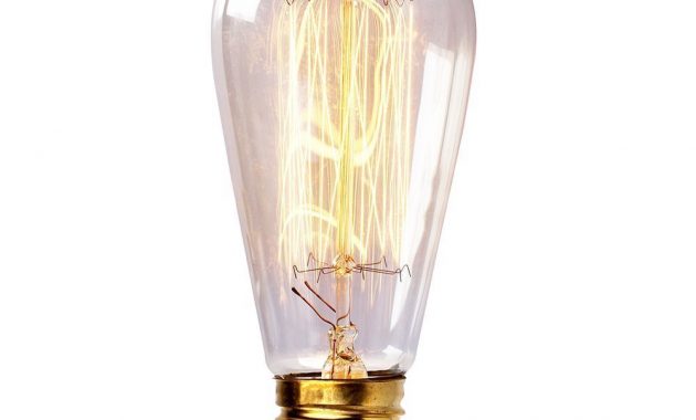 Newhouse Lighting 60 Watt Vintage Edison Filament Light Bulb E26 Base pertaining to size 1000 X 1000