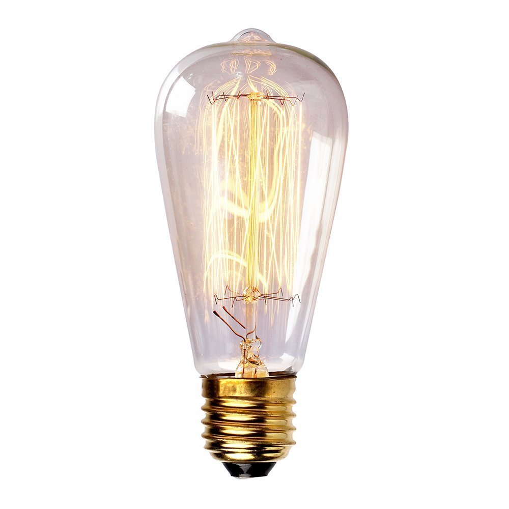 Newhouse Lighting 60 Watt Vintage Edison Filament Light Bulb E26 Base pertaining to size 1000 X 1000