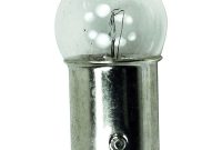 Opgi Gpe0067 Halogen Bulb 561 throughout proportions 1000 X 1000