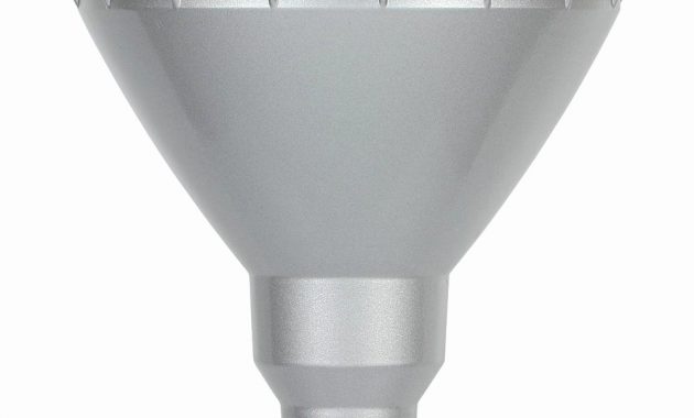 Outdoor Lamp Post Light Bulbs Elegant Lamps Best Light Bulb For within measurements 1000 X 1000