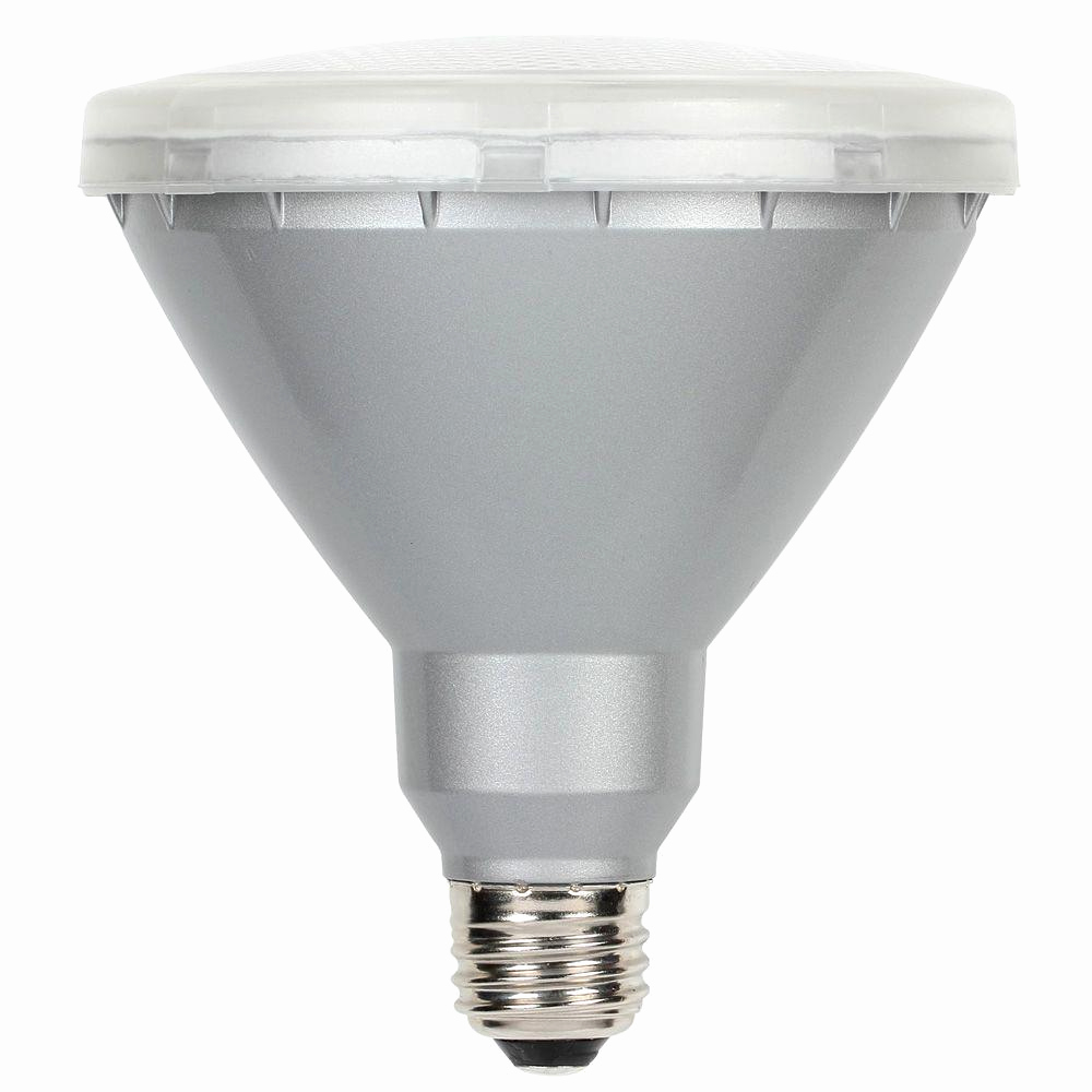 Outdoor Lamp Post Light Bulbs Elegant Lamps Best Light Bulb For within measurements 1000 X 1000