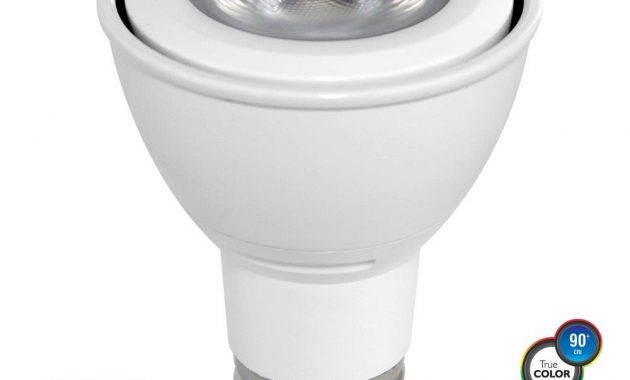 Par20 Led Bulb 7 Watt Dimmable 50w Equiv 500 Lumens Euri with dimensions 1000 X 1000