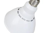 Par38 Led Bulb 18 Watt Dimmable 100w Equiv 1500 Lumens Euri throughout size 1000 X 1000