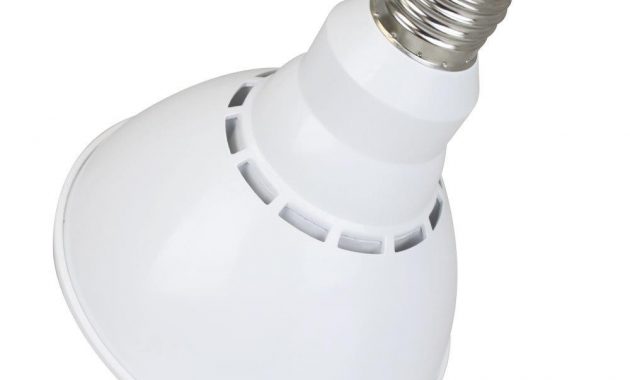 Par38 Led Bulb 18 Watt Dimmable 100w Equiv 1500 Lumens Euri throughout size 1000 X 1000