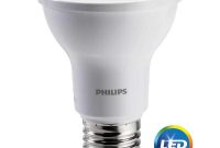 Philips 100 Watt Equivalent A19 Led Light Bulb Daylight 2 Pack with regard to size 1000 X 1000