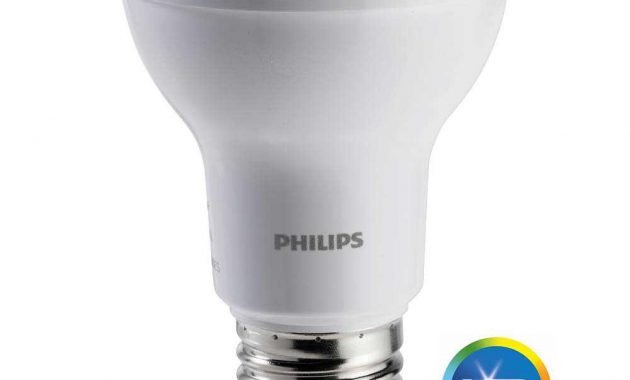 Philips 100 Watt Equivalent A19 Led Light Bulb Daylight 2 Pack with regard to size 1000 X 1000